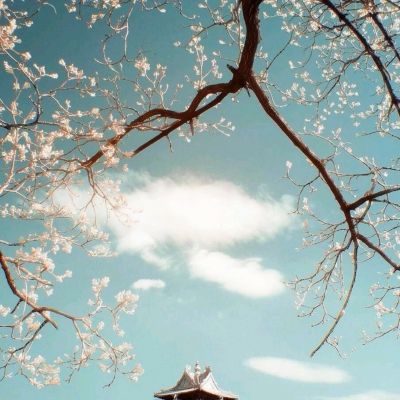 白银基金多数投资者已完成和解事宜
